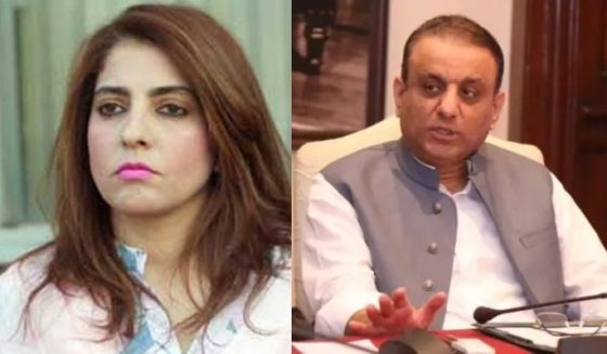 ’شٹ اپ، یو شٹ اپ‘، قائمہ کمیٹی اجلاس میں علیم خان اور پلوشہ خان کے درمیان تلخ کلامی