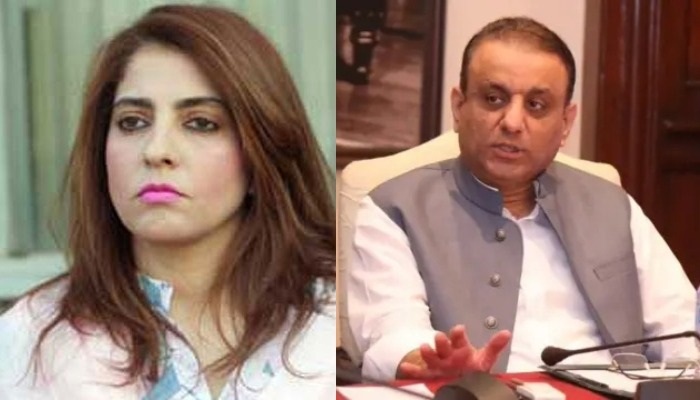 ’شٹ اپ، یو شٹ اپ‘، قائمہ کمیٹی اجلاس میں علیم خان اور پلوشہ خان کے درمیان تلخ کلامی