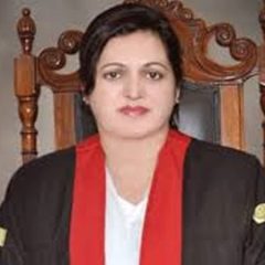 پراپرٹی اونر شپ آرڈینس سے متعلق درخواستیں لارجز بینچ کو ارسال، پنجاب حکومت سے جواب طلب