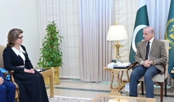 وزیراعظم کا تاجکستان کے ساتھ تجارت، توانائی سمیت کثیرالجہتی تعاون بڑھانے کے عزم کا اعادہ