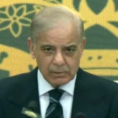 pmshehbazsharif