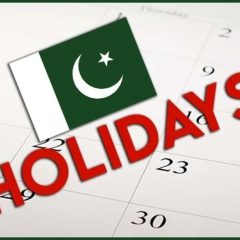 publicholidays