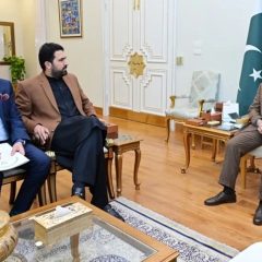 pmmeetingsohailafridi