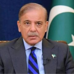 pmshehbazsharif