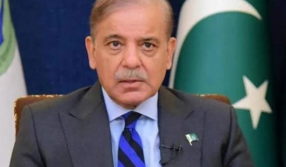 pmshehbazsharif