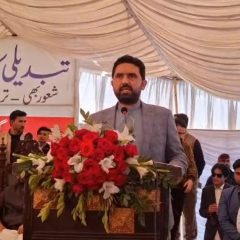 sohailafridiatjumrud