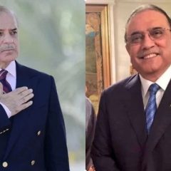 pmshehbazsharifasifzardari