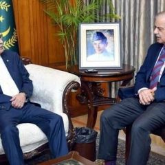 shehbazsharifandasifzardari