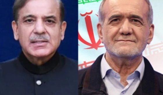 shehbazsharifandiranipresident