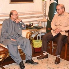 shehbazsharifasifzardari