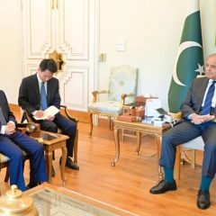 chineseambassadormetshehbazsharif