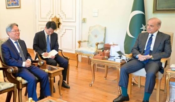 chineseambassadormetshehbazsharif