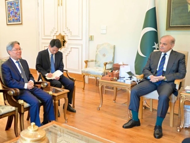 chineseambassadormetshehbazsharif