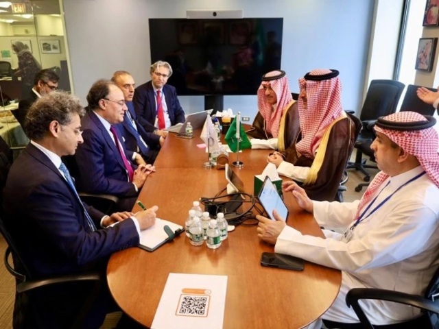 financeministermeetsaudidelegation