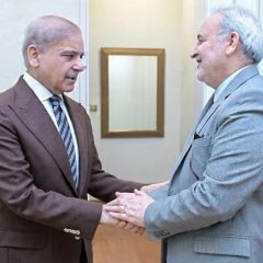 iranianambassadormeetshehbazsharif