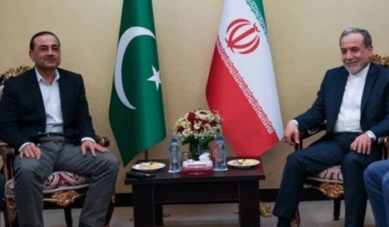 asimmunirmetabbasaraghchi