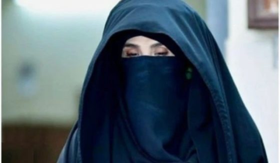 bushrabibi
