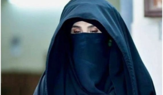 bushrabibi