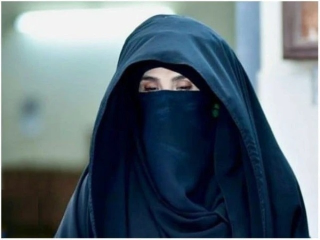 bushrabibiapplication