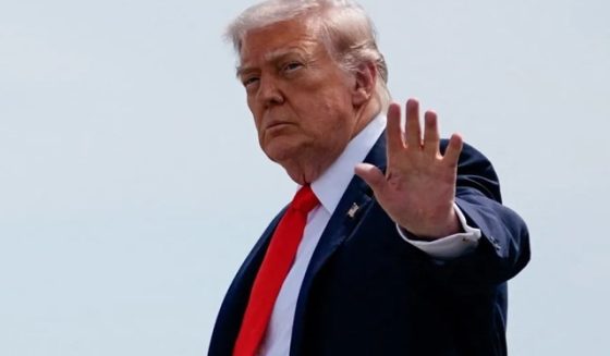 donaldtrumpprojectfreedom