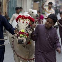 eidholidays