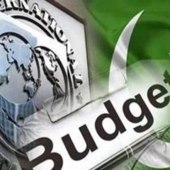 imfbudget2026-27