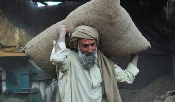 labourday