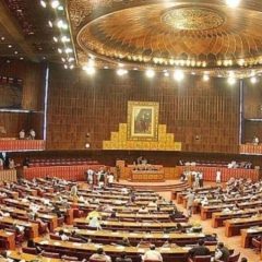 nationalassembly