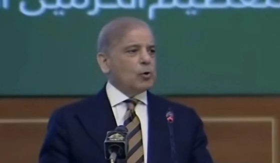 shehbazsharifiranustalk
