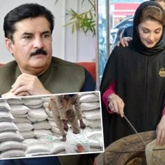 maryamnawazfaisalkarimkundi