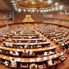 nationalassembly