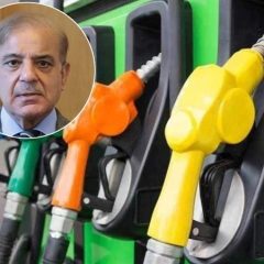 pmdecreasepetrolprice