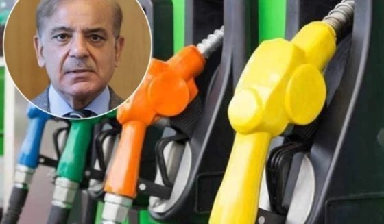 pmdecreasepetrolprice