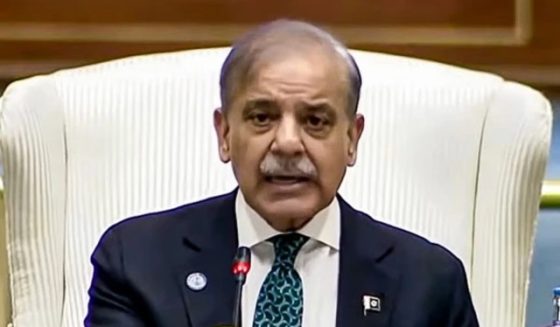 pmshehbazsharifmeetparliamentmember