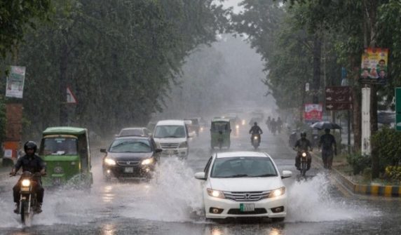 punjabrain