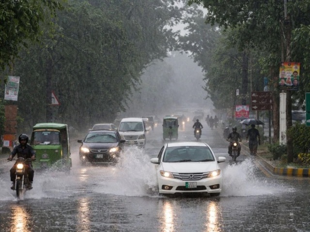 punjabrain