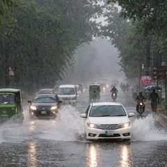 punjabrainalert