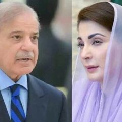 shehbazsharifmaryamnawaz