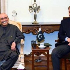 zardariandshehbazsharif