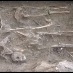 150 years old home with 40 thousands bones