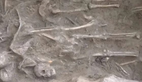 150 years old home with 40 thousands bones