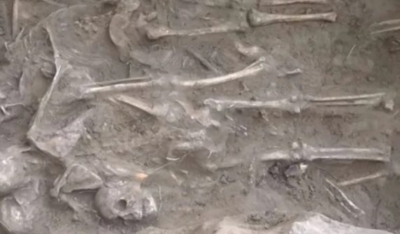 150 years old home with 40 thousands bones