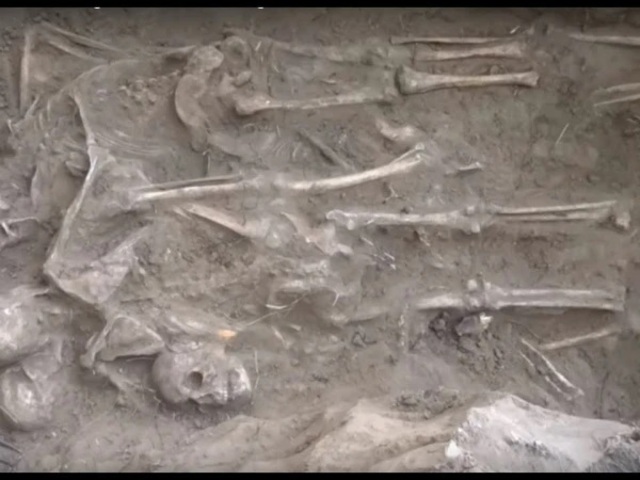 150 years old home with 40 thousands bones