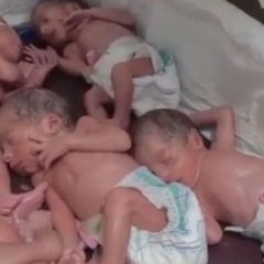5 children born in quetta