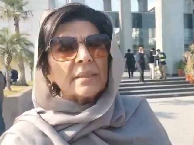 aleema khan protest