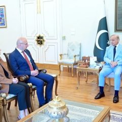 croatian foreign minister meets shehbaz sharif