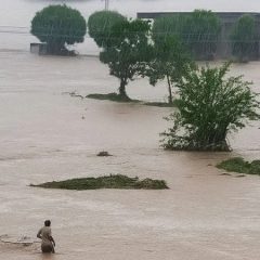 flood in punjab