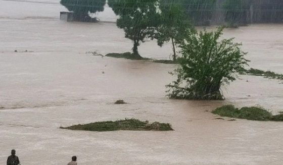 flood in punjab