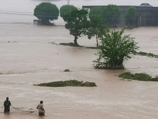 flood in punjab