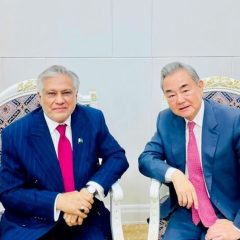 ishaqdar met wang yi